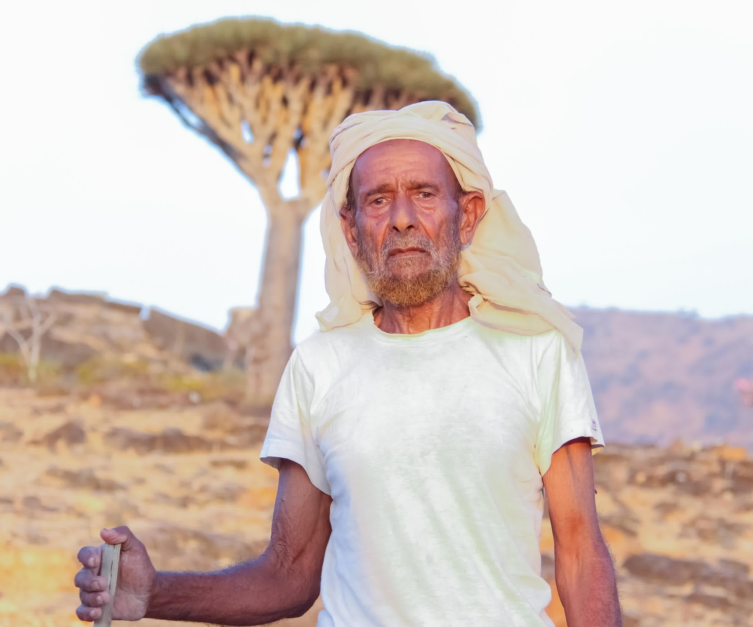 Dixam Plateau & Wadi Dirhur Trip